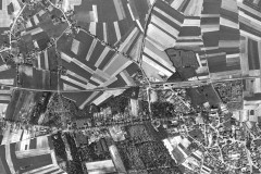 lufo-1950